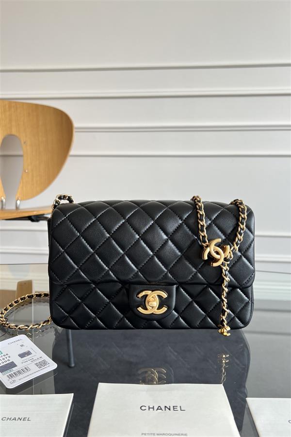 2026131214225239 670